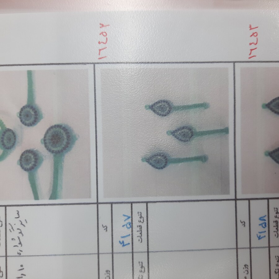 نیم ست میکرو کد 16452